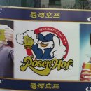 로젠호프 Daum카페
