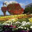 진도향토문화회관 이미지