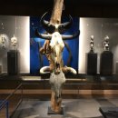 아프리카박물관 이미지