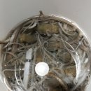 서른낙지