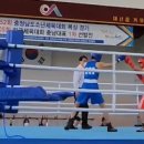 서산시 복싱협회 대전일보