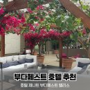 팰리스마트 | 부다페스트 위치·가성비 최고! 호텔 제니트 부다페스트 팰리스 자세한 후기