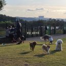 봉오대로556번길 이미지