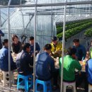 김동진농장 이미지