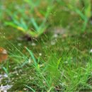 하늘지기 이미지