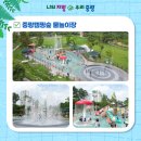 중랑캠핑숲공원 | 5살 아이 중랑캠핑숲 물놀이장 후기(무료 이용)