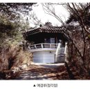 정각정