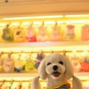 통키통키 이미지