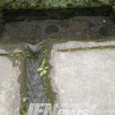 수정천 이미지