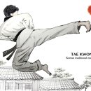 삼각태권도 이미지