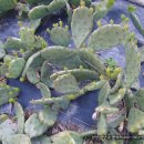 진창마을회관 이미지