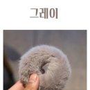 밴드에코 이미지