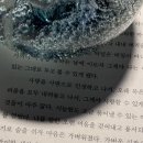 (2024. 07-3) 네? 미쿠다요? 여기서요?