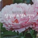 녹우조경