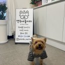 연두네놀이터 이미지