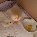 삼덕유치원 이미지