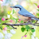 새가람약국 이미지