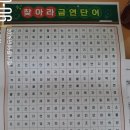 142기-🚭 부산대 금연캠프 3일차, 담배를 비운 자리에 ... 건강과 향기를 채우다.