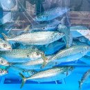 중정로61번길 이미지