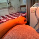 도원의원 이미지