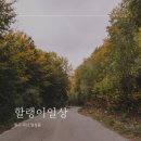 관악산공원(광장) 이미지