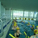 보은국민체육센터수영장 이미지