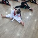 국제키즈태권도 이미지