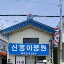 지세포반점