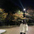 사라수변공원 이미지