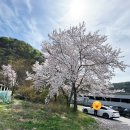 삼계로 | 마산내서카페ㅣ저수지뷰 브런치 감성 카페팔레트 후기 (마산브런치카페 추천)