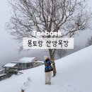 영덕운수 | 강원도 태백 겨울 필수 여행지 몽토랑 산양목장 한국의 삿포로 눈소식