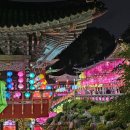 법화 | 2025 부산 삼광사 연등축제, 이건 진짜 직접 봐야 해요 (포토존부터 꿀팁까지 총정리)