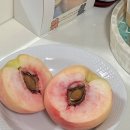 순이농장 | 장호원복숭아농장🍑 내돈내산 이번엔 장호원헷사레복숭아 백도 뿌시기 (feat. 황도에 이어 백도까지,,)