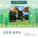 상효원 | 제주 서귀포 아이랑 갈만한곳 | 상효원 숲학교 체험 프로그램 과정 비용 후기