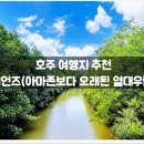 태평양환경 | 아마존보다 오래된 열대우림) / 데인트리, 열대, 밀림, 동남아, 태평양, 필수, 가볼만한 곳, 후기, 산책