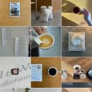 창원 반지동 카페 :) 올이즈웰커피하우스 All is well coffeehaus