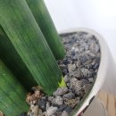 블리비의원 이미지