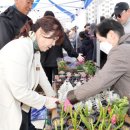 모전공원(분수광장) 이미지