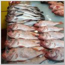 중앙수산 이미지