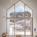 까사리포죠 | LG DIOS 힐링키친 공유이벤트 소문내기 벚꽃여행 준비