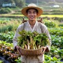 명성농장 | 강원도 인제 봄나물 눈개승마 삼나물로 밥상 업그레이드! 요세비 농장 산나물 후기