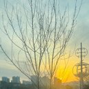 또오고마라탕 경산시지점 | 하이디라오 서초지점 일요일 오픈런하기!