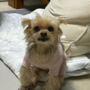듀