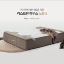 리빙갤러리 네이버블로그