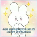 하이짱 | [결혼준비] ep.4 제주 스냅 토탈샵 '하이재이' 후기