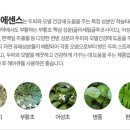 이명헤어 네이버블로그