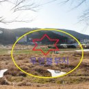 남해식품 이미지
