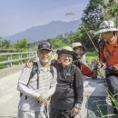 오음1리 이미지