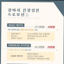 올케어 동물의료센터 이미지