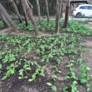 자명농장 이미지